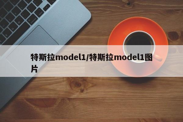 特斯拉model1/特斯拉model1图片