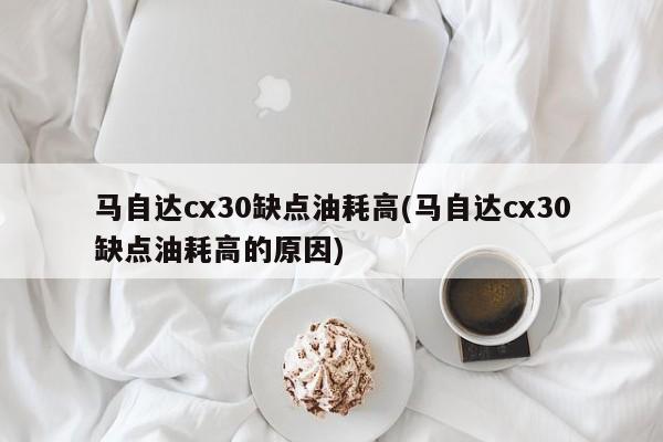 马自达cx30缺点油耗高(马自达cx30缺点油耗高的原因)